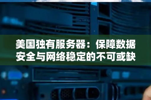 美国独有服务器:保障数据安全与网络稳定的不可或缺之选 美国独有服务器:保障数据安全与网络稳定的不可或缺之选
