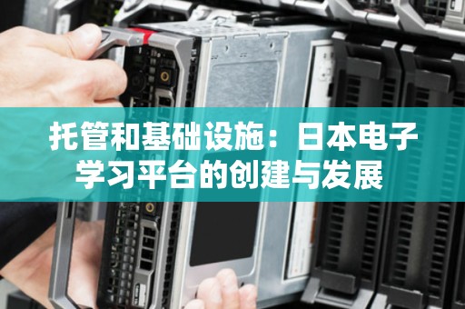 托管和基础设施:日本电子学习平台的创建与发展 托管和基础设施:日本电子学习平台的创建与发展