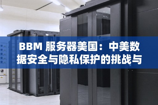 BBM 服务器美国：中美数据安全与隐私保护的挑战与前景 