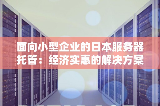 面向小型企业的日本服务器托管：经济实惠的解决方案 