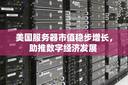 美国服务器市值稳步增长，助推数字经济发展 