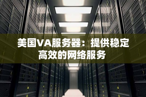 美国VA服务器：提供稳定高效的网络服务 