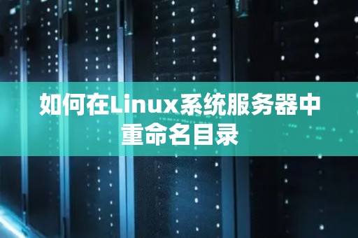 如何在Linux系统服务器中重命名目录
