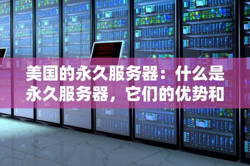 美国的永久服务器:什么是永久服务器,它们的优势和不足 美国的永久服务器:什么是永久服务器,它们的优势和不足