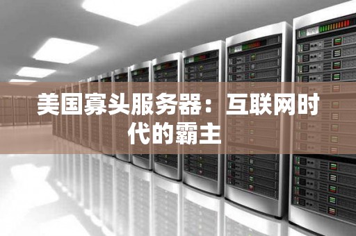 美国寡头服务器:互联网时代的霸主 美国寡头服务器:互联网时代的霸主