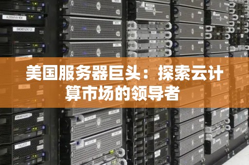 美国服务器巨头：分析云计算市场的领导者 