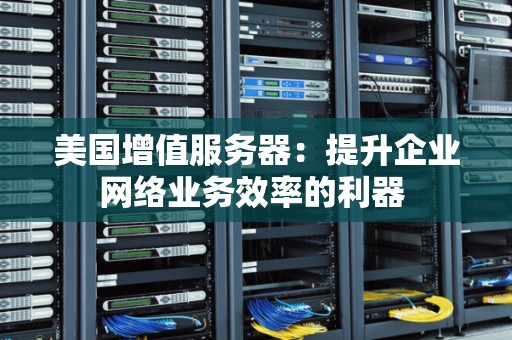 美国增值服务器:提升企业网络业务效率的利器 美国增值服务器:提升企业网络业务效率的利器