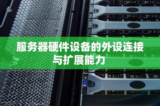 服务器硬件设备的外设连接与扩展能力 