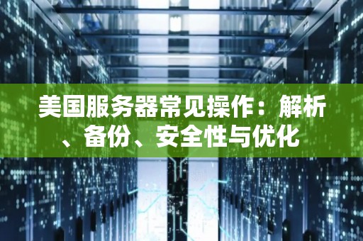 美国服务器常见操作:解析、备份、安全性与优化 美国服务器常见操作:解析、备份、安全性与优化