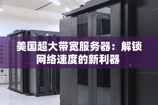 美国超大带宽服务器：解锁网络速度的新利器 