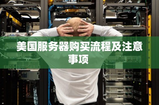 美国服务器购买流程及注意事项 