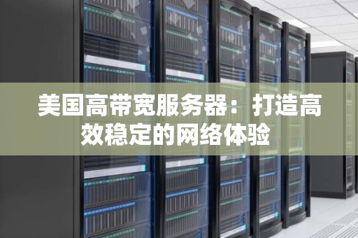 美国高带宽服务器：打造高效稳定的网络体验 