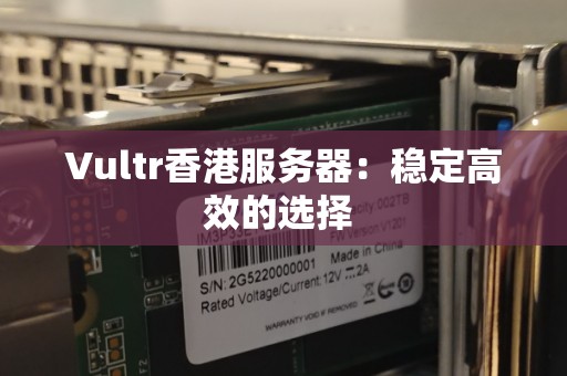 Vultr香港服务器：稳定高效的选择 