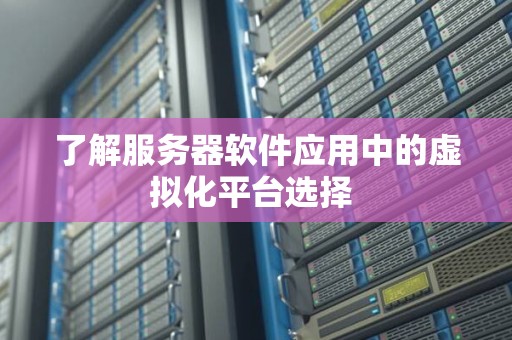 了解服务器软件应用中的虚拟化平台选择 