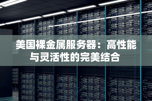 美国裸金属服务器:高性能与灵活性的完美结合 美国裸金属服务器:高性能与灵活性的完美结合