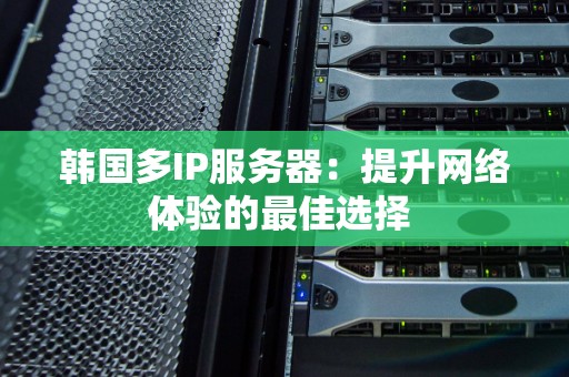 韩国多IP服务器：提升网络体验的好的选择 