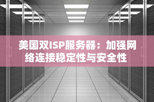 美国双ISP服务器：加强网络连接稳定性与安全性 