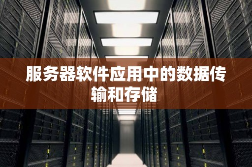 服务器软件应用中的数据传输和存储 