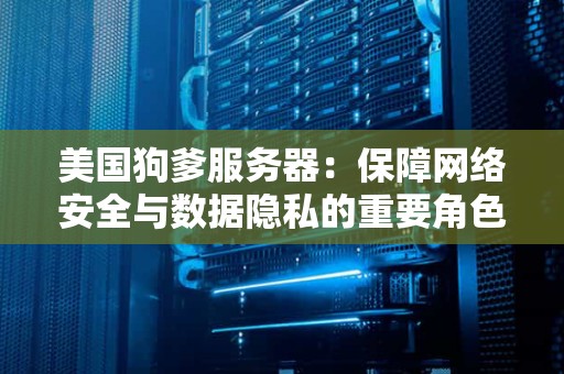 美国狗爹服务器：保障网络安全与数据隐私的重要角色 