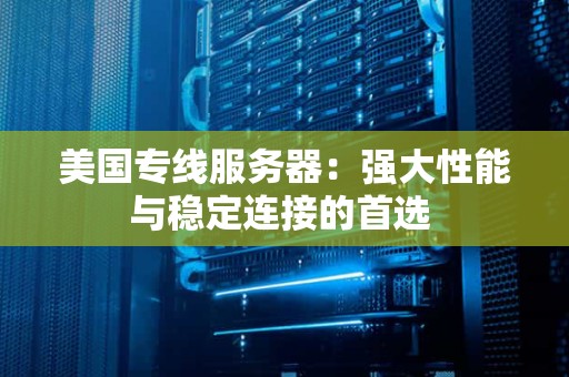 美国专线服务器：强大性能与稳定连接的首选 