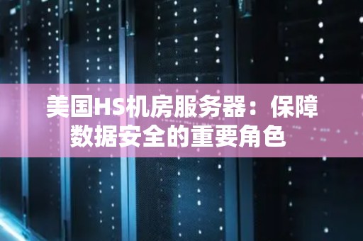 美国HS机房服务器:保障数据安全的重要角色 美国HS机房服务器:保障数据安全的重要角色