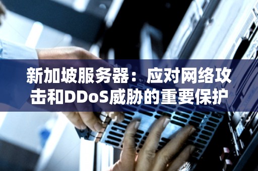 新加坡服务器：应对网络攻击和DDoS威胁的重要保护屏障 
