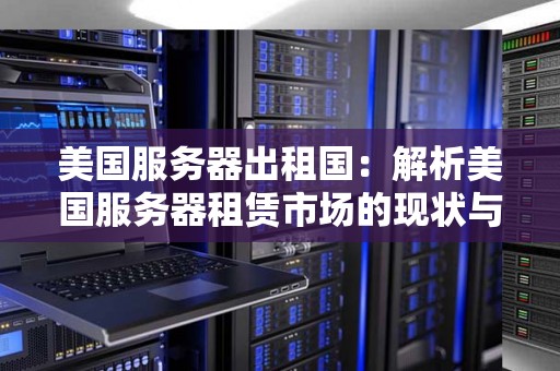 美国服务器出租国：解析美国服务器租赁市场的现状与前景 