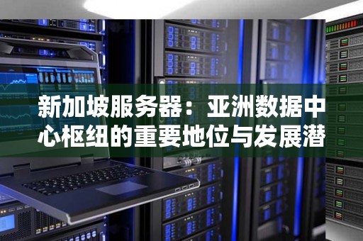 新加坡服务器：亚洲数据中心枢纽的重要地位与发展潜力 