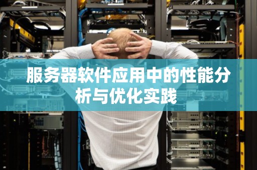 服务器软件应用中的性能分析与优化经验 