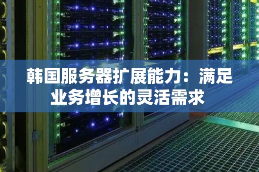韩国服务器扩展能力:满足业务增长的灵活需求 韩国服务器扩展能力:满足业务增长的灵活需求