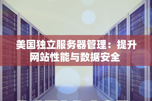 美国独立服务器管理：提升网站性能与数据安全 