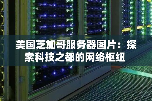 美国芝加哥服务器图片：分析科技之都的网络枢纽 