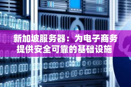 新加坡服务器：为电子商务提供安全可靠的基础设施 