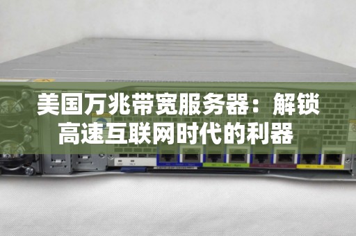美国万兆带宽服务器：解锁高速互联网时代的利器 