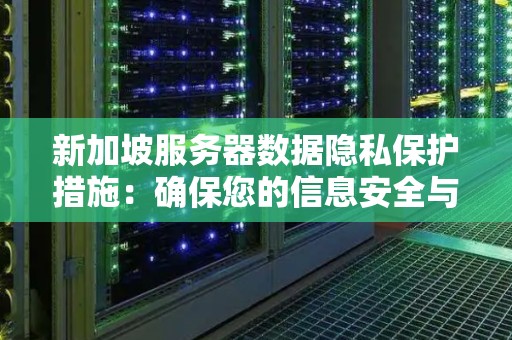 新加坡服务器数据隐私保护措施:确保您的信息安全与隐私保障 新加坡服务器数据隐私保护措施:确保您的信息安全与隐私保障