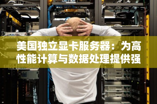 美国独立显卡服务器:为高性能计算与数据处理提供强大支持 美国独立显卡服务器:为高性能计算与数据处理提供强大支持
