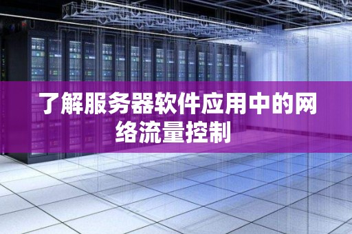 服务器软件应用中的网络流量控制及其重要性