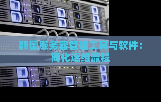韩国服务器管理工具与软件:简化运维流程 韩国服务器管理工具与软件:简化运维流程