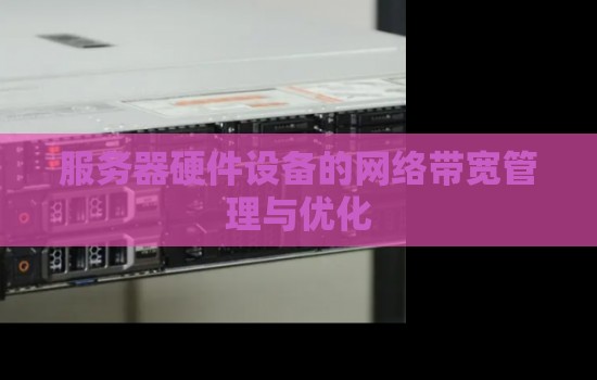 服务器硬件设备的网络带宽管理与优化