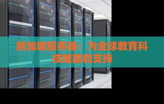 新加坡服务器：为全球教育科技赋能和支持