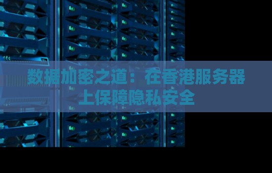 数据加密之道:在香港服务器上保障隐私安全 数据加密之道:在香港服务器上保障隐私安全