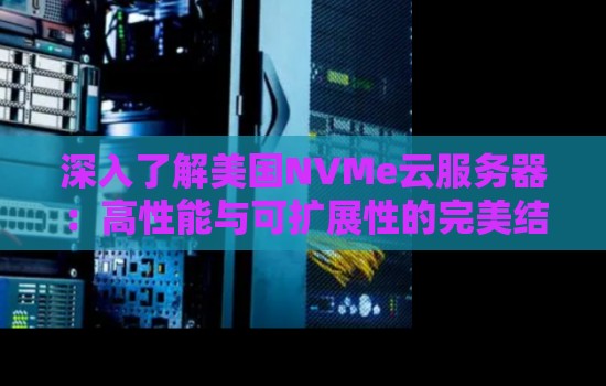 深入了解美国NVMe云服务器:高性能与可扩展性的完美结合 深入了解美国NVMe云服务器:高性能与可扩展性的完美结合
