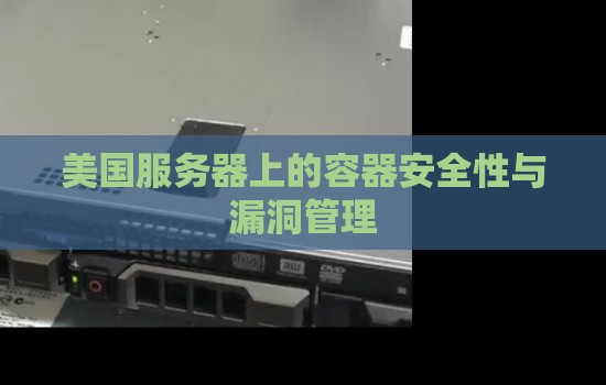 美国服务器上的容器安全性与漏洞管理