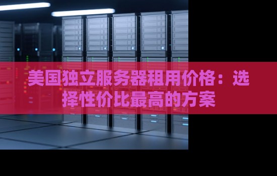 美国独立服务器租用价格：选择性价比最高的方案