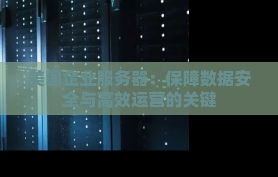 美国企业服务器:保障数据安全与高效运营的关键 美国企业服务器:保障数据安全与高效运营的关键
