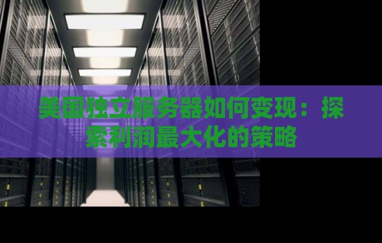 美国独立服务器如何变现:分析利润最大化的策略 美国独立服务器如何变现:分析利润最大化的策略