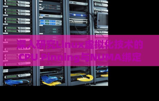深入研究Linux虚拟化技术的CPU Pinning与NUMA绑定 深入研究Linux虚拟化技术的CPU Pinning与NUMA绑定