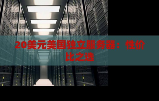 20美元美国独立服务器：性价比之选