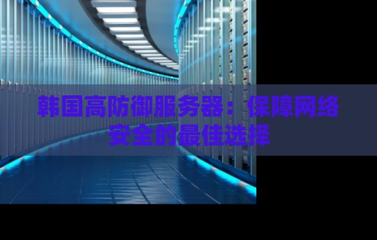 韩国高防御服务器：保障网络安全的好的选择