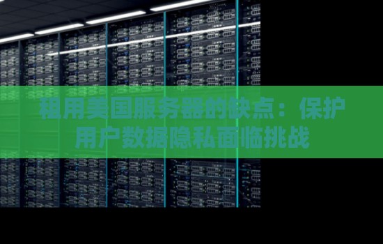 租用美国服务器的缺点：保护用户数据隐私面临挑战